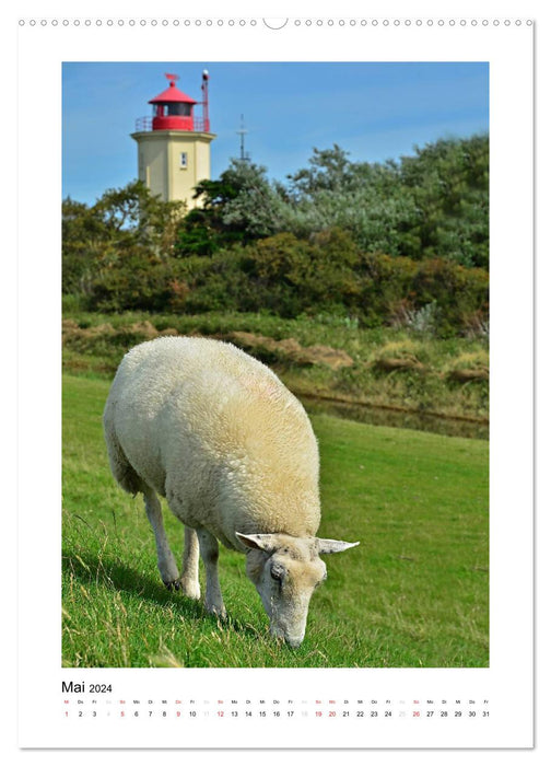 Lighthouses - impressions of the silent sentinels on the shore (CALVENDO wall calendar 2024) 