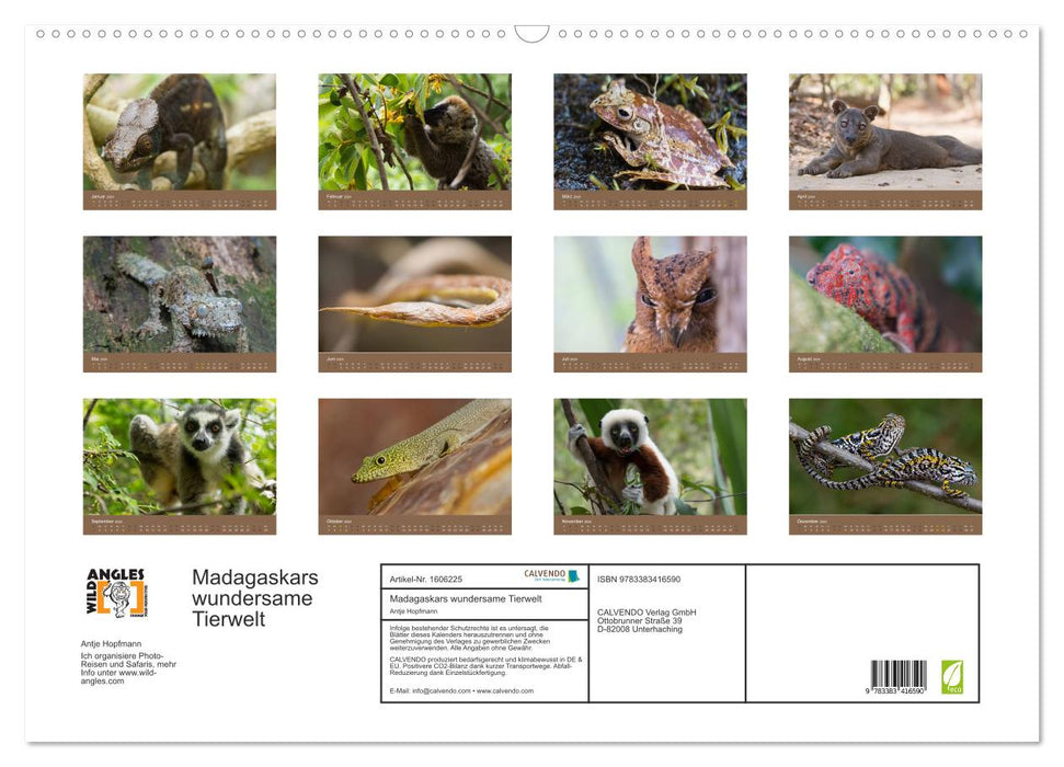 Madagascar's wondrous wildlife (CALVENDO wall calendar 2024) 