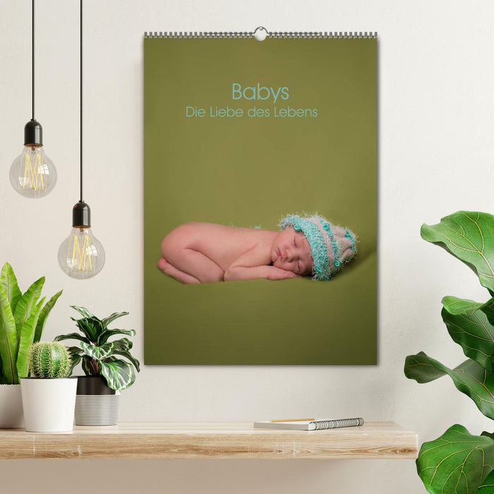 Babys - Die Liebe des Lebens (CALVENDO Wandkalender 2024)