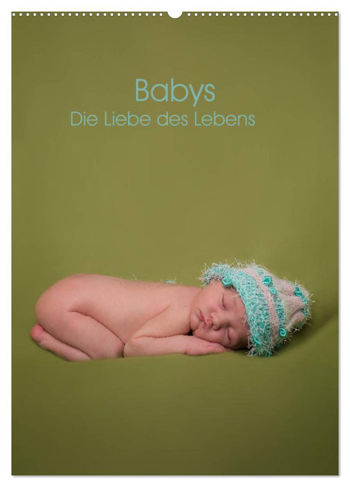 Babys - Die Liebe des Lebens (CALVENDO Wandkalender 2024)