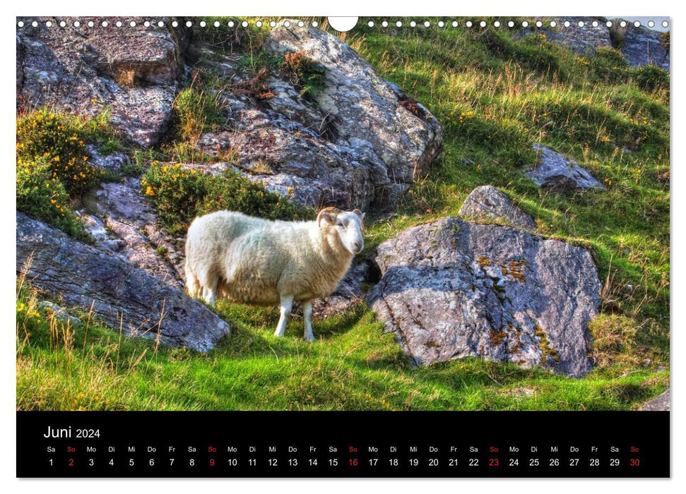 Beautiful Kerry (CALVENDO Wall Calendar 2024) 