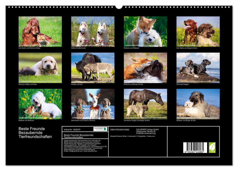 Meilleurs amis - Amitiés animales enchanteresses (Calvendo Premium Wall Calendar 2024) 