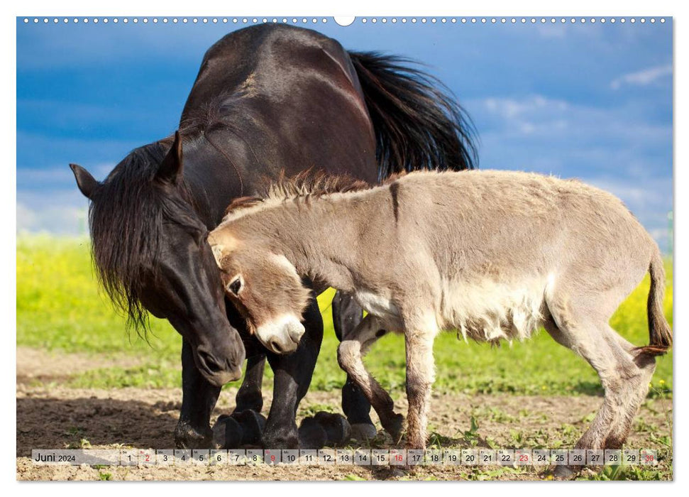 Meilleurs amis - Amitiés animales enchanteresses (Calvendo Premium Wall Calendar 2024) 