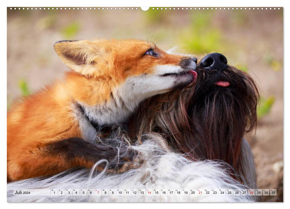 Meilleurs amis - Amitiés animales enchanteresses (Calvendo Premium Wall Calendar 2024) 