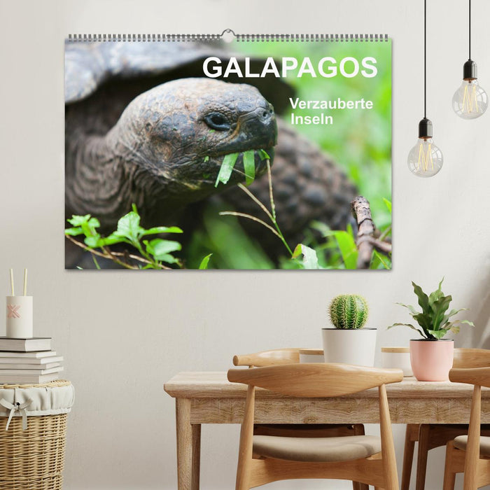 Galapagos. Verzauberte Inseln (CALVENDO Wandkalender 2024)