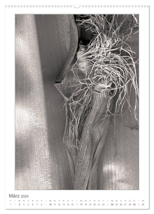 BlütenScans in Sepia, Photographien ohne Kamera von Tamara Wahby (CALVENDO Premium Wandkalender 2024)