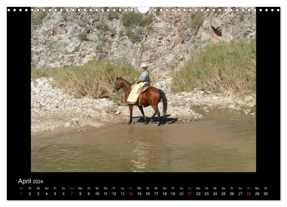 City Slickers - Ranch Vacation (CALVENDO Wall Calendar 2024) 