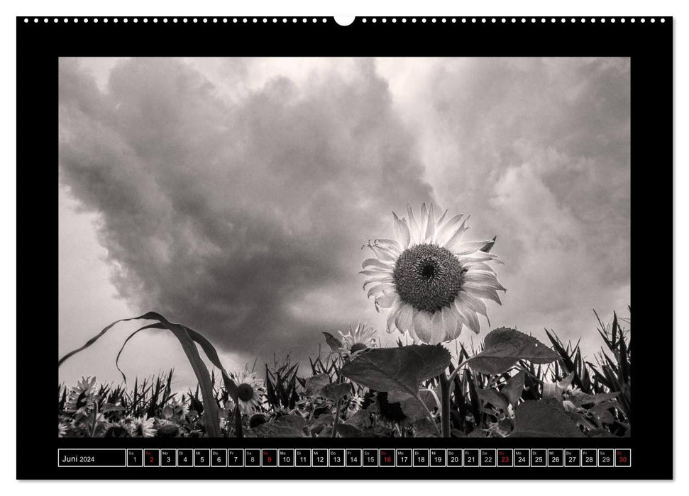 Meine Art zu sehen - Landschaften Schwarz-Weiß (CALVENDO Premium Wandkalender 2024)