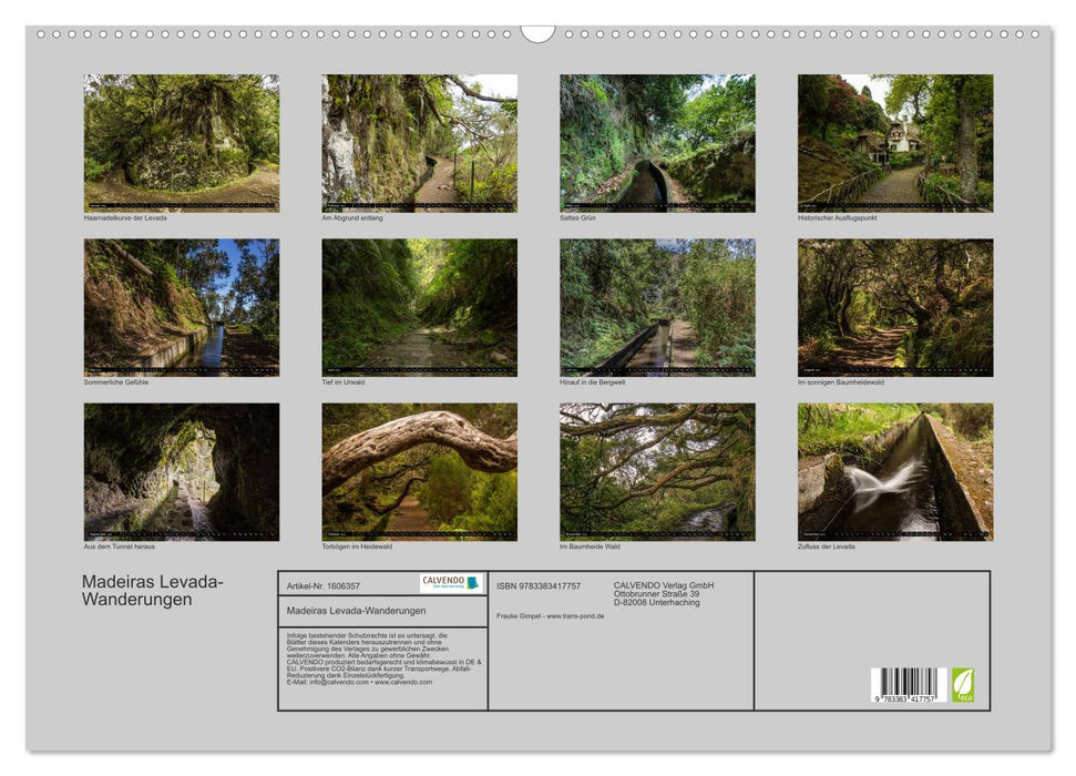 Madeira's Levada hikes (CALVENDO wall calendar 2024) 