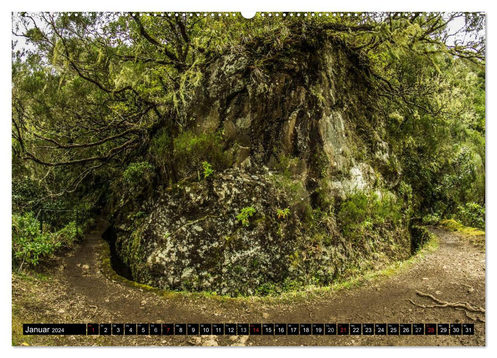 Madeira's Levada hikes (CALVENDO wall calendar 2024) 
