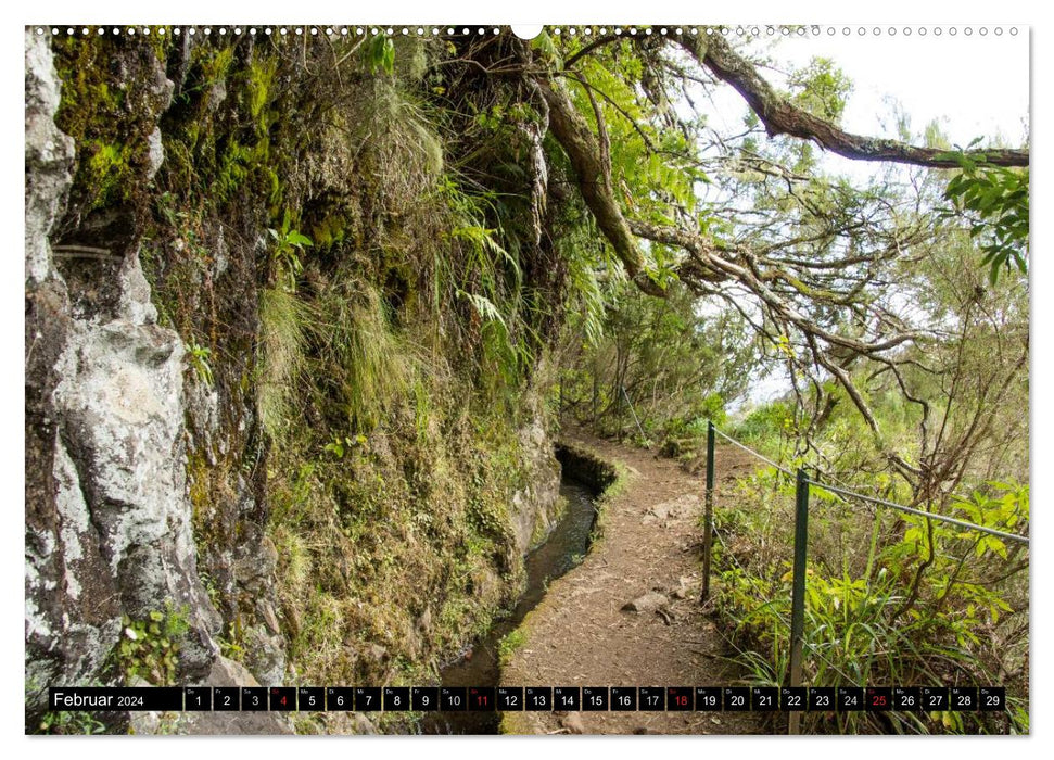 Madeira's Levada hikes (CALVENDO wall calendar 2024) 