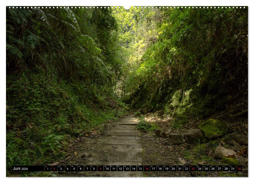 Madeira's Levada hikes (CALVENDO wall calendar 2024) 