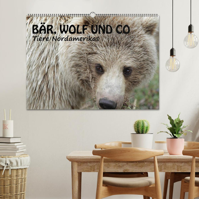 Bear, wolf and co - animals of North America (CALVENDO wall calendar 2024) 