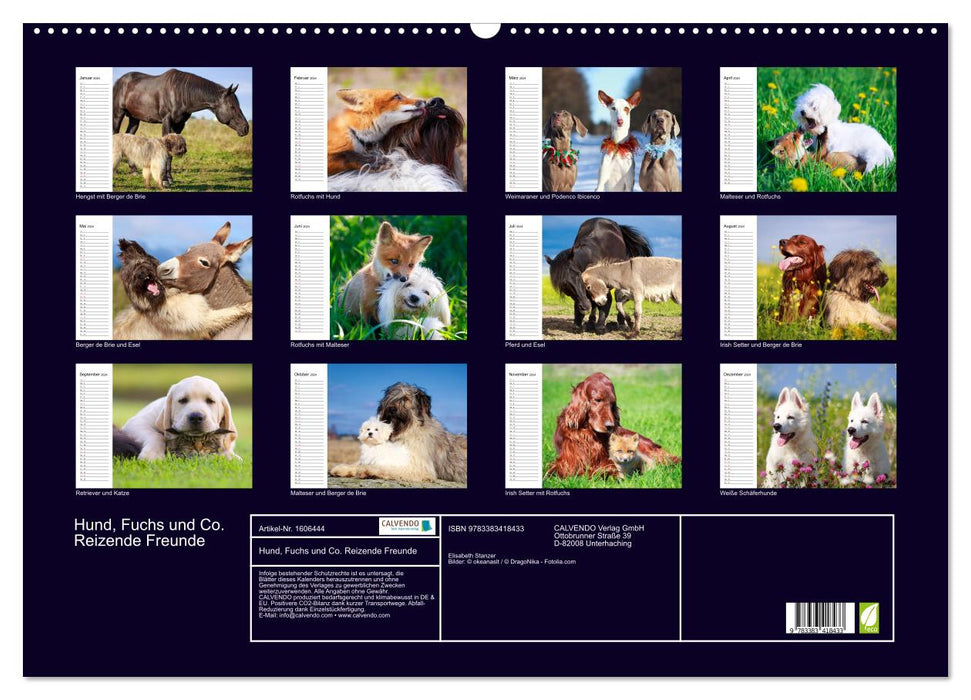 Dog, fox and co. lovely friends (CALVENDO wall calendar 2024) 