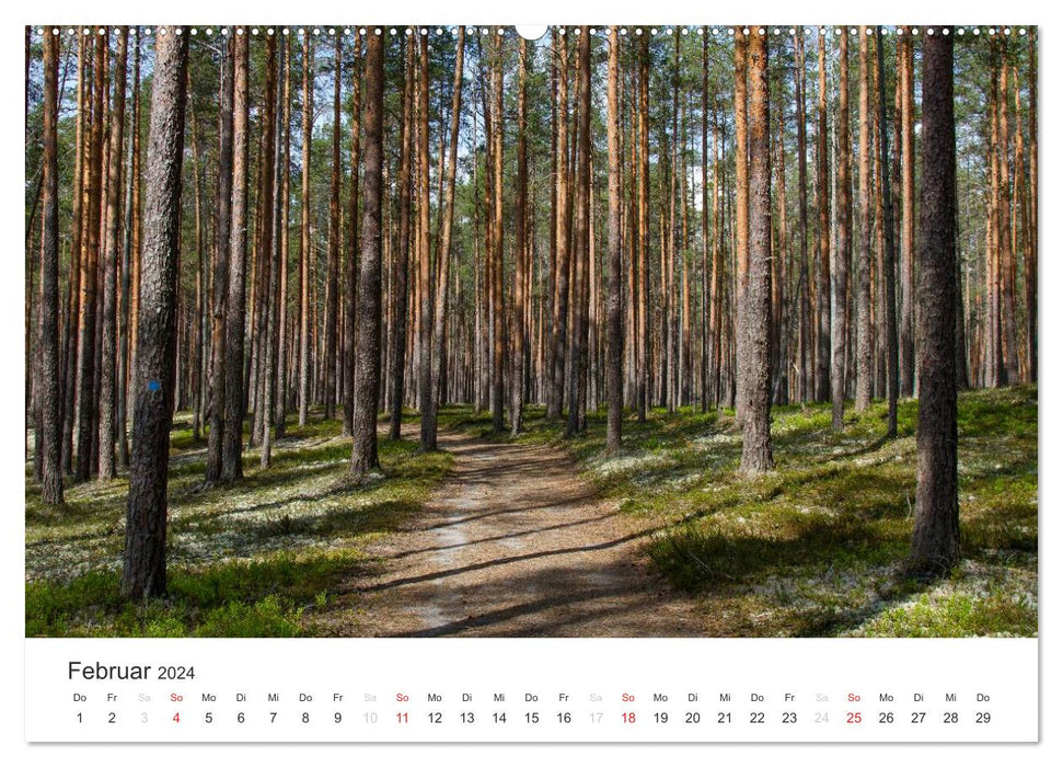 Natural paradise Finland (CALVENDO wall calendar 2024) 