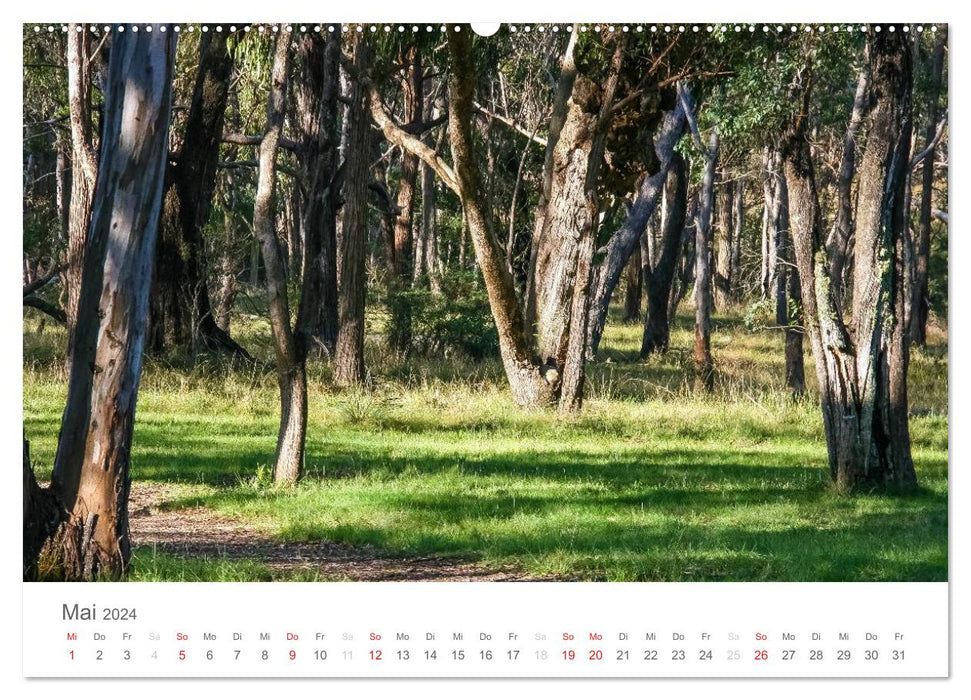 Australia 2024 Best of Down Under (CALVENDO Premium Wall Calendar 2024) 