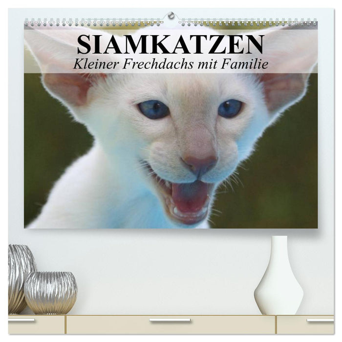 Siamese cats - little cheeky badger with family (CALVENDO Premium wall calendar 2024) 