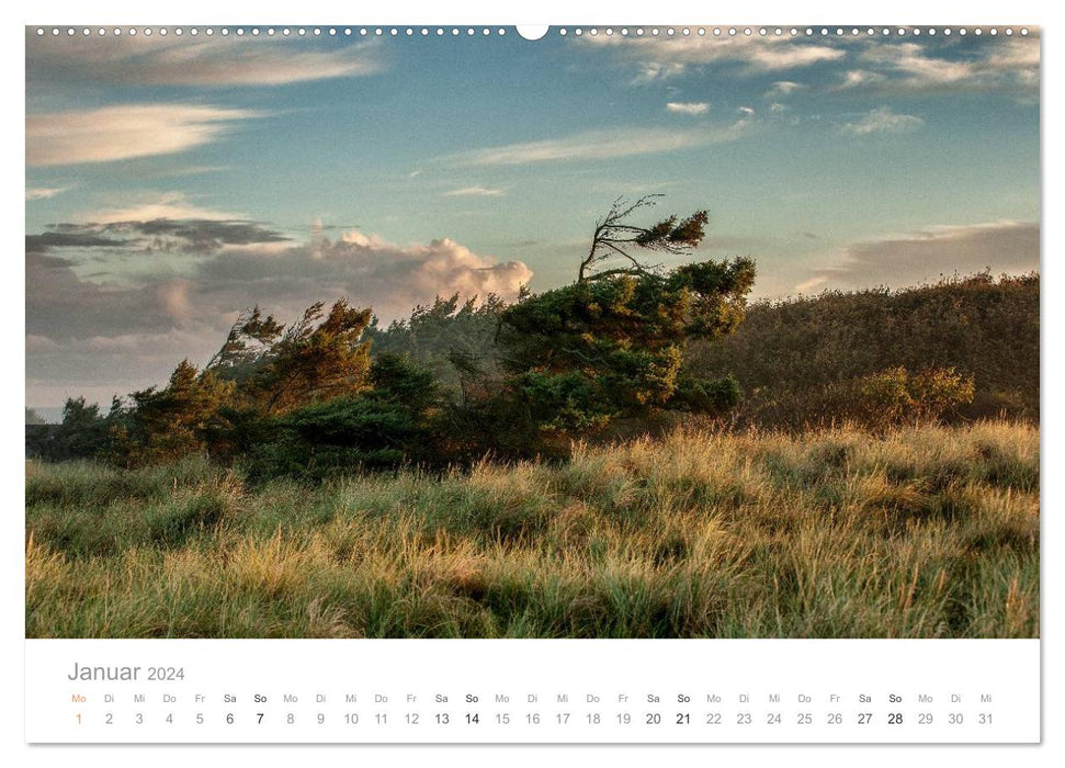 Dream destination Denmark (CALVENDO Premium Wall Calendar 2024) 