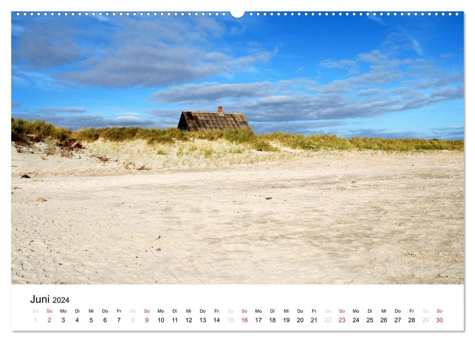 Denmark - On the road in Jutland (CALVENDO Premium Wall Calendar 2024) 