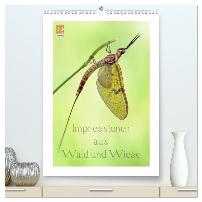 Impressionen aus Wald und Wiese (CALVENDO Premium Wandkalender 2024)