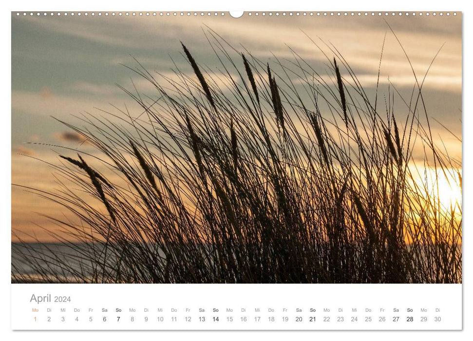 Dream destination Denmark (CALVENDO wall calendar 2024) 