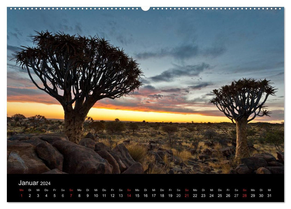 Landscapes from all over the world (CALVENDO Premium Wall Calendar 2024) 