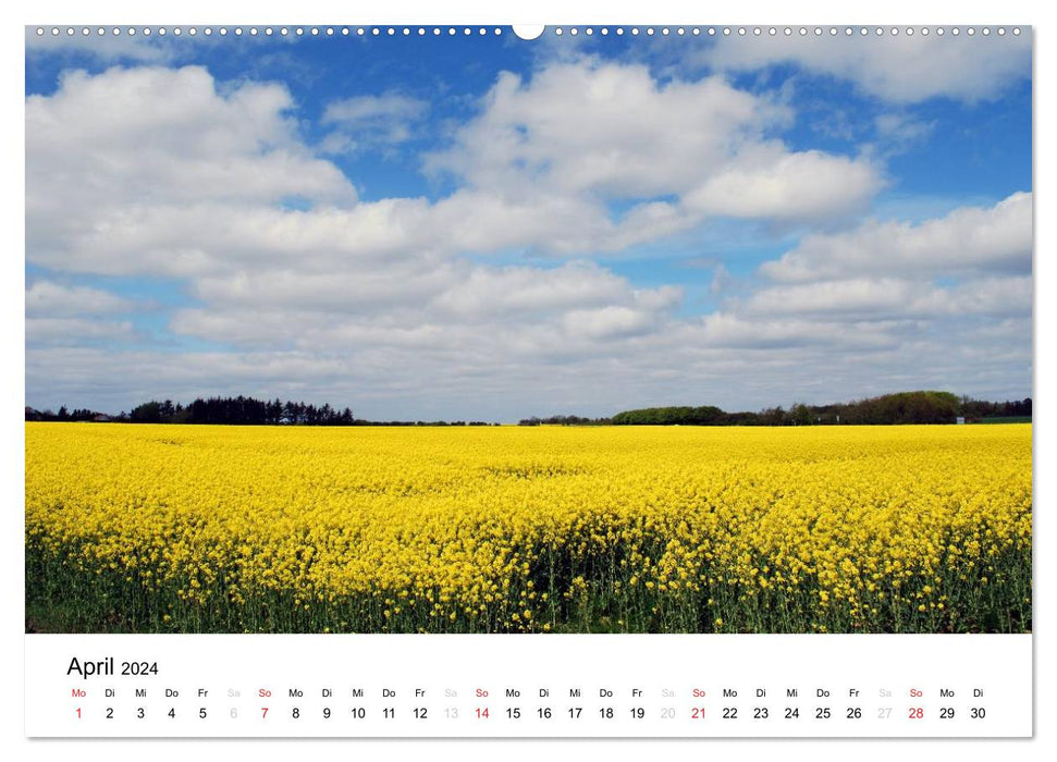 Denmark - On the road in Jutland (CALVENDO wall calendar 2024) 