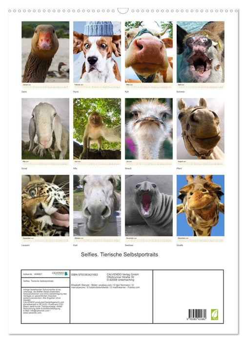 Selfies. Tierische Selbstportraits (CALVENDO Wandkalender 2024)