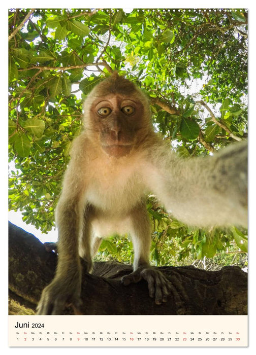 Selfies. Animal self-portraits (CALVENDO wall calendar 2024) 