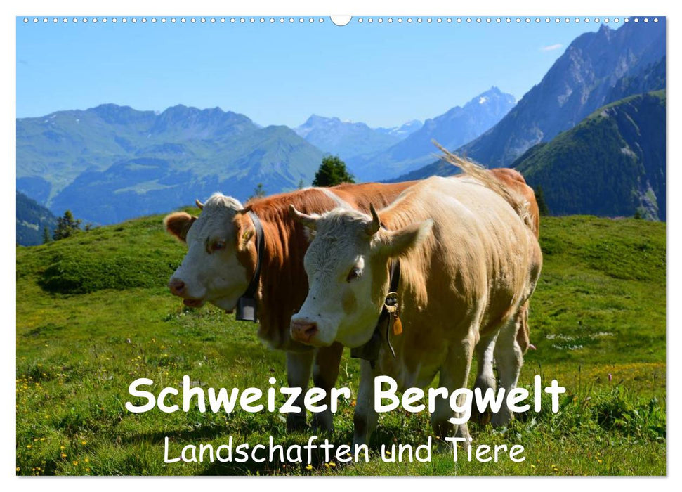 Schweizer Bergwelt Landschaften und Tiere (CALVENDO Wandkalender 2024)