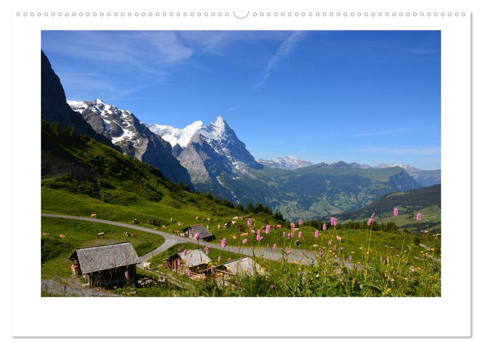 Swiss mountains landscapes and animals (CALVENDO wall calendar 2024) 