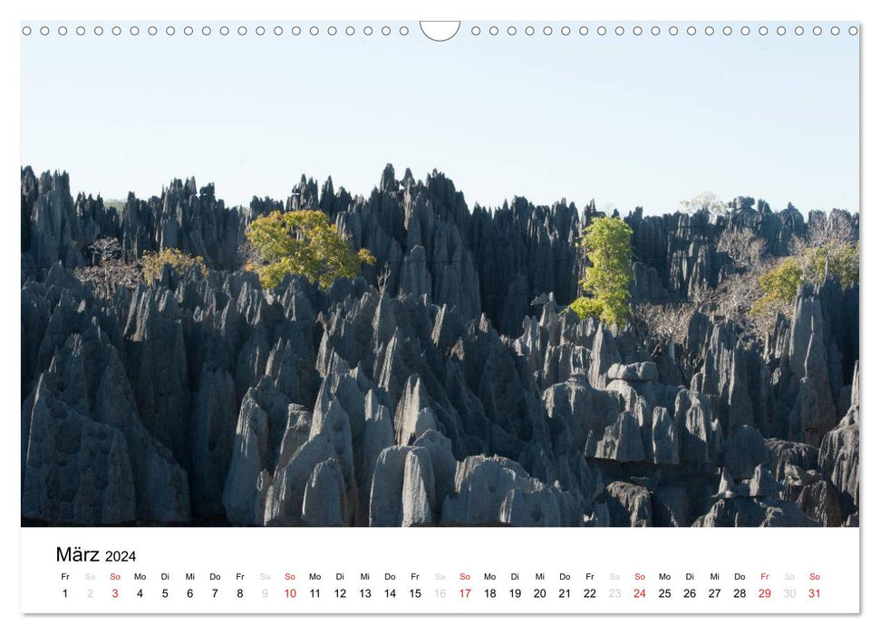 Dream world Madagascar (CALVENDO wall calendar 2024) 