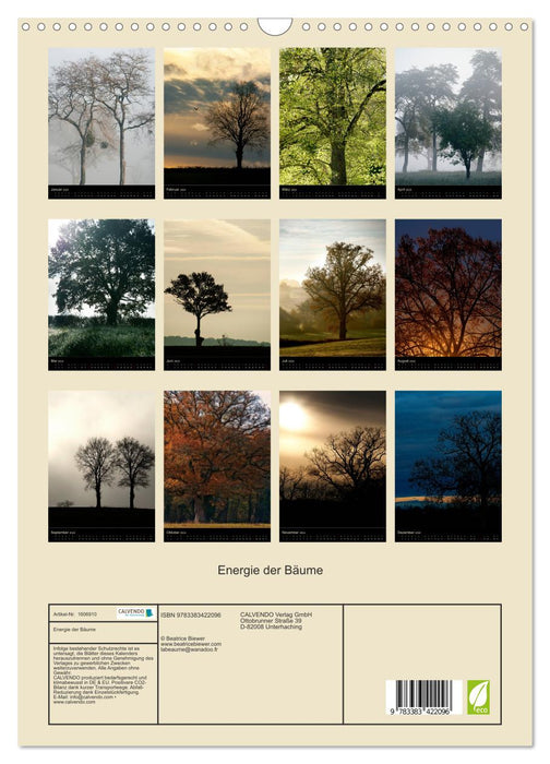 Energie der Bäume (CALVENDO Wandkalender 2024)