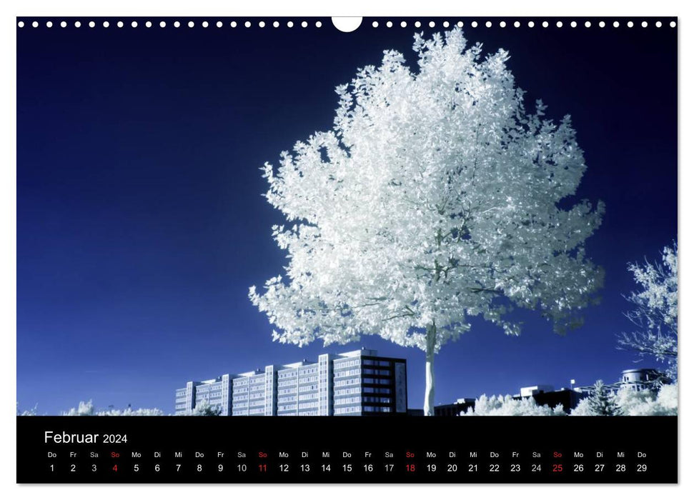 Leipzig in infrared light (CALVENDO wall calendar 2024) 