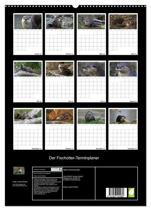 Der Fischotter-Terminplaner (CALVENDO Premium Wandkalender 2024)