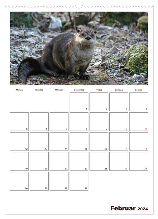 The otter appointment planner (CALVENDO Premium wall calendar 2024) 