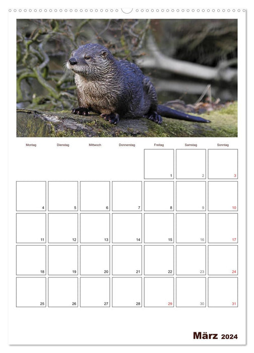 The otter appointment planner (CALVENDO Premium wall calendar 2024) 