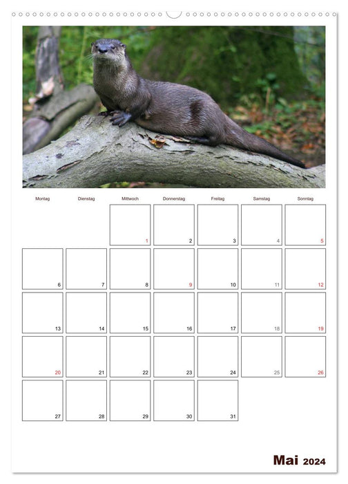 The otter appointment planner (CALVENDO Premium wall calendar 2024) 