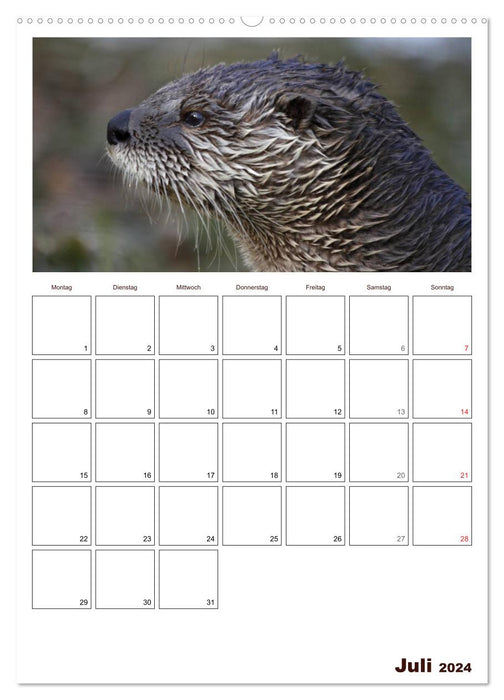 The otter appointment planner (CALVENDO Premium wall calendar 2024) 