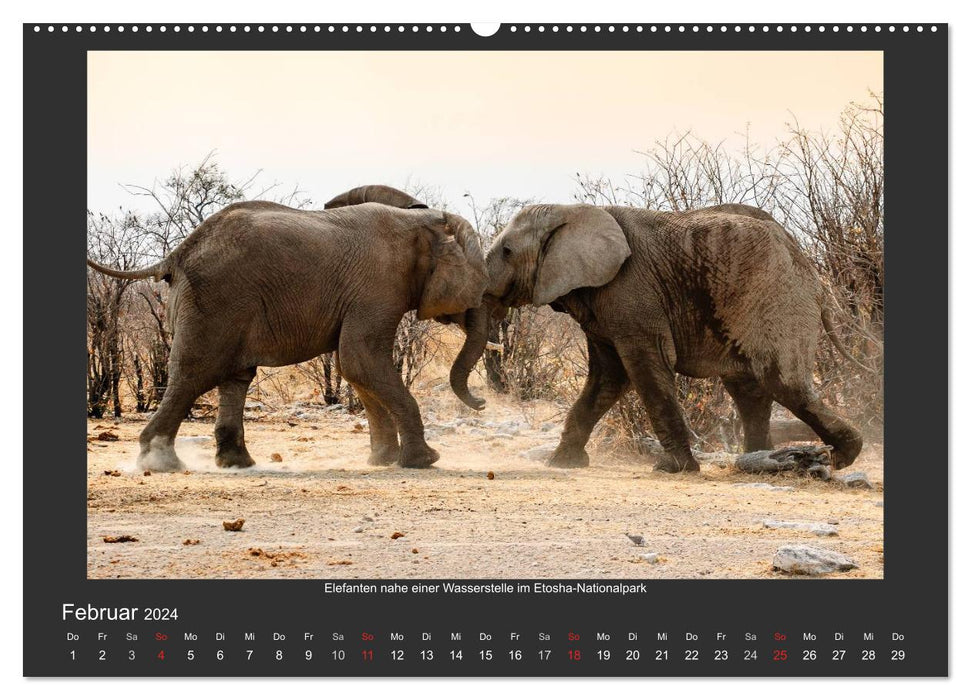 Facets of Namibia (CALVENDO Premium Wall Calendar 2024) 