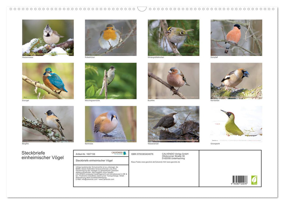 Profiles of local birds (CALVENDO wall calendar 2024) 