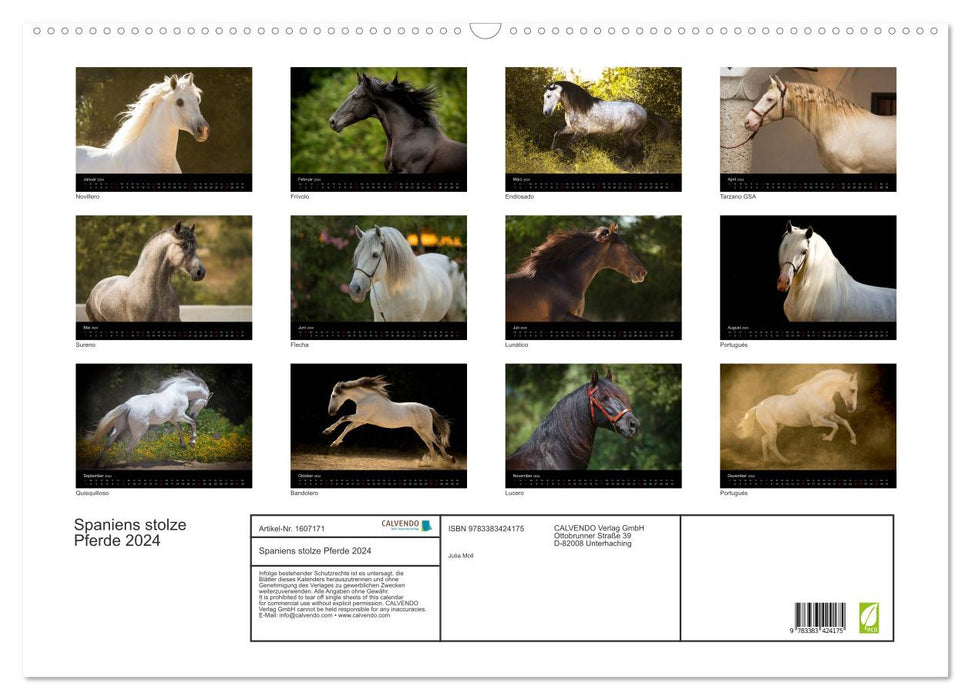 Spain's proud horses (CALVENDO wall calendar 2024) 