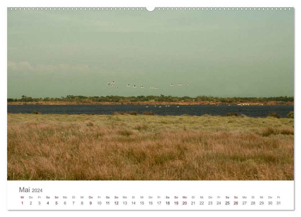 The colors of the Camargue (CALVENDO Premium Wall Calendar 2024) 