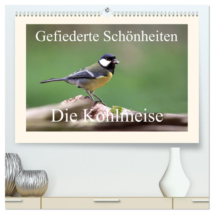 Gefiederte Schönheiten - Die Kohlmeise (CALVENDO Premium Wandkalender 2024)