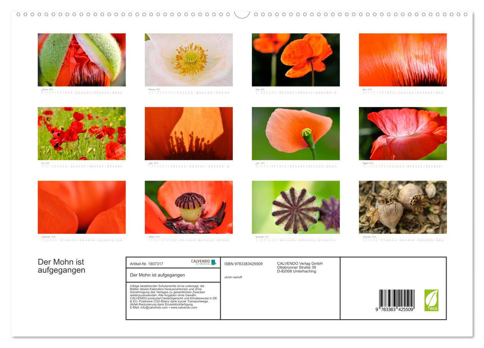 The poppies have risen (CALVENDO Premium Wall Calendar 2024) 