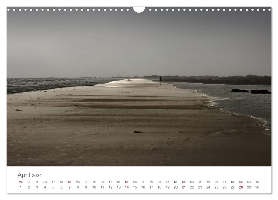 The colors of the Camargue (CALVENDO wall calendar 2024) 