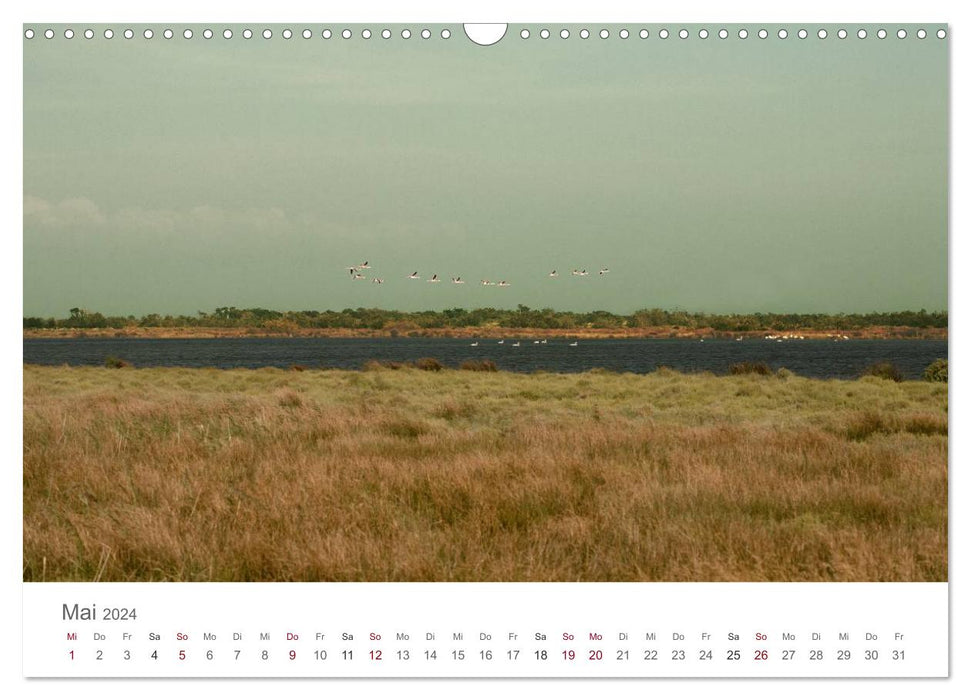 Die Farben der Camargue (CALVENDO Wandkalender 2024)