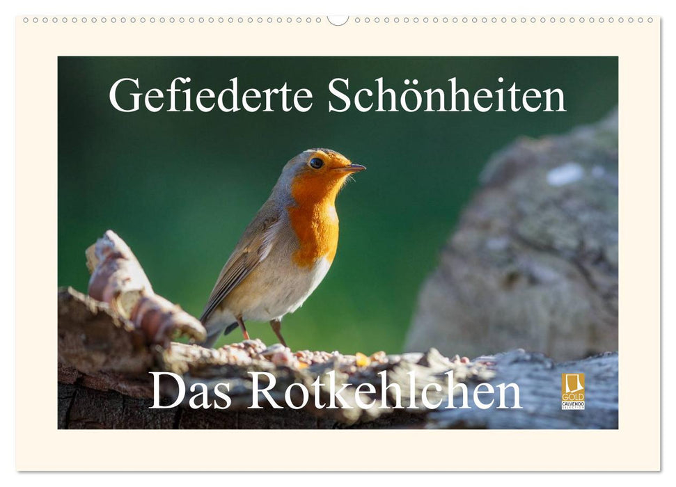 Feathered Beauties - The Robin (CALVENDO Wall Calendar 2024) 