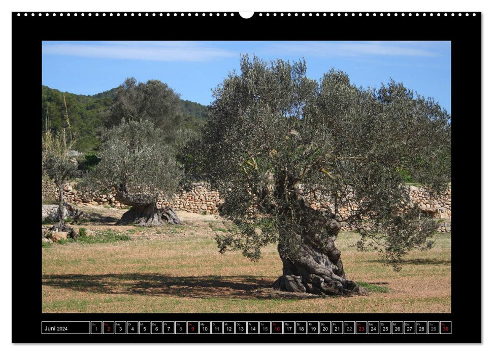 Rural idyll on Ibiza (CALVENDO wall calendar 2024) 