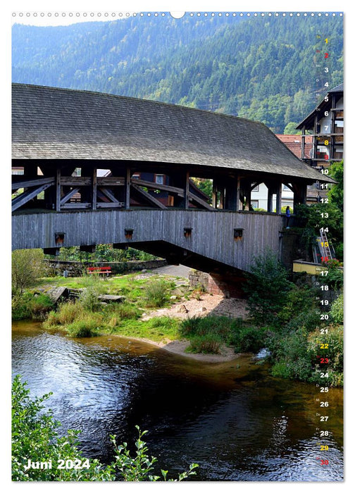 Idyllic Murg Valley Landscapes - Sights - Nature (CALVENDO Premium Wall Calendar 2024) 